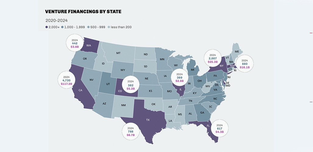 Publication-2025VCReport-VCsByState